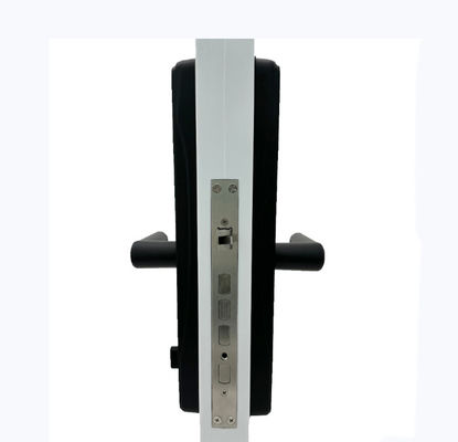Tuya TTLock App Intelligent Doorlock ELA E-30 Inteligentes Con Wifi Electric Digital Fingerprint Keyless Entry Smart Doo