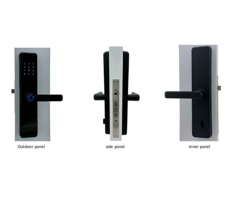 Tuya TTLock App Intelligent Doorlock ELA E-30 Inteligentes Con Wifi Electric Digital Fingerprint Keyless Entry Smart Doo