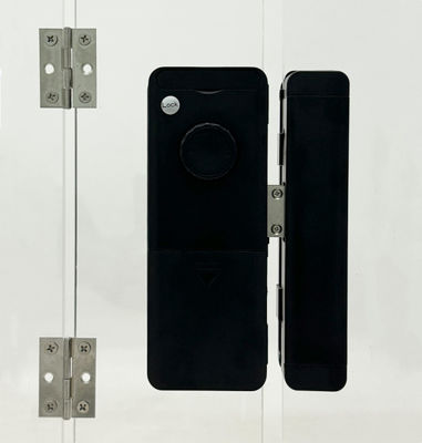 Tuya 3d Aluminum Door Lock ELA E188 Deadbolt Key Entry Glass Smart Door Lock System For Home Hotel Apartment