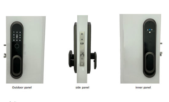 ELA E-556 Automatic Door Smart Lock Opens By Touch Without Pressing Handle