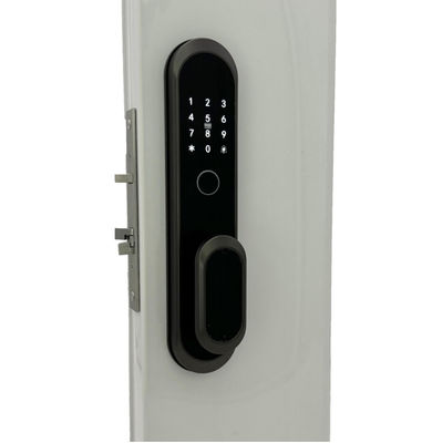 ELA E-556 Automatic Door Smart Lock Opens By Touch Without Pressing Handle