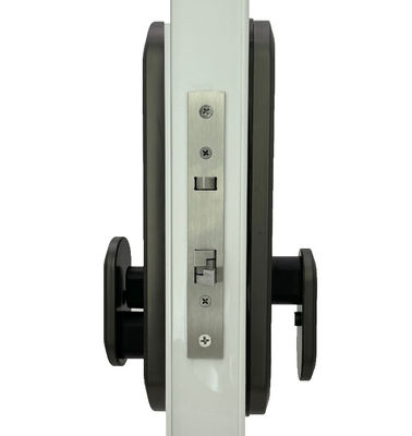 ELA E-556 Automatic Door Smart Lock Opens By Touch Without Pressing Handle