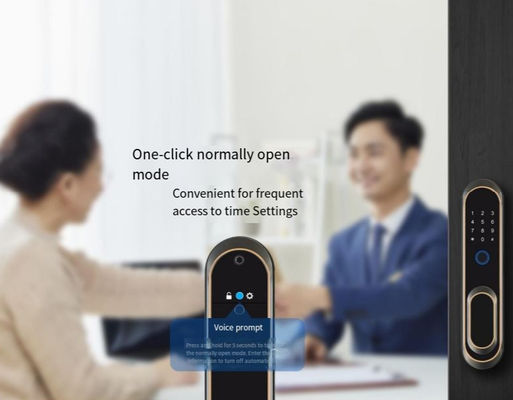 ELA E-556 Automatic Door Smart Lock Opens By Touch Without Pressing Handle