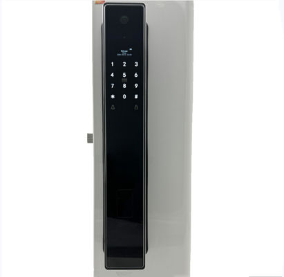 ELA E-760 High-end Smart Fingerprint Door Lock Can Real-time Cat Eye Monitoring Facial Recognition Finger Vein Smart Doo