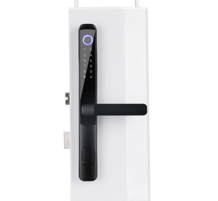 Smart Wifi Biometric Smart Lock Tuya Smart Home App Remote Control Anywhere 3D Face Smart Fingerprint Locks E-H105