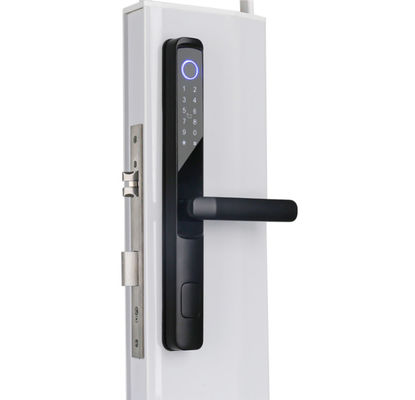 Smart Wifi Biometric Smart Lock Tuya Smart Home App Remote Control Anywhere 3D Face Smart Fingerprint Locks E-H105