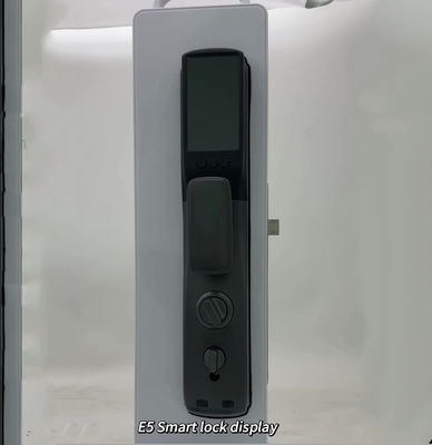 ELA 3D-Gesichtserkennung Fingerabdruck automatisch schließen Digitale elektronische Kamera Tuya APP Wi-Fi Smart Door Lock mit Augenscanner