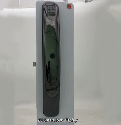 ELA 3D-Gesichtserkennung Fingerabdruck automatisch schließen Digitale elektronische Kamera Tuya APP Wi-Fi Smart Door Lock mit Augenscanner