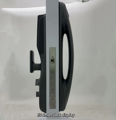 ELA 3D-Gesichtserkennung Fingerabdruck automatisch schließen Digitale elektronische Kamera Tuya APP Wi-Fi Smart Door Lock mit Augenscanner