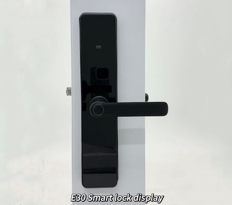 Tuya Ttlock Biometric smart door lock Tuya TTlock Secure Wifi digital smart door lock
