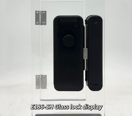 ELA New electronic wireless glass key lock smart fingerprint Tuya App digital 3D face recognition sliding door lock