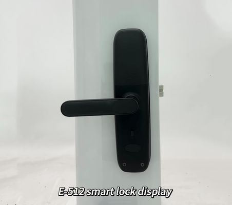 OEM E-512 Tuya Password Biometric Electronic Fingerprint Wifi Door Smart Digital Door Lock