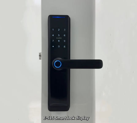 ELA Door LocksLuxury Style Electric Safety Handle Digital Tuya Ttlock Wifi Fingerprint Door Intelligent Lock