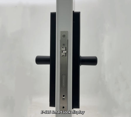 ELA Door LocksLuxury Style Electric Safety Handle Digital Tuya Ttlock Wifi Fingerprint Door Intelligent Lock