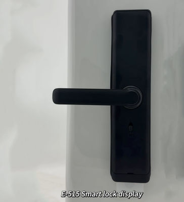 ELA Door LocksLuxury Style Electric Safety Handle Digital Tuya Ttlock Wifi Fingerprint Door Intelligent Lock