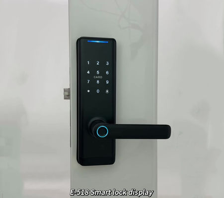 High Security Standard Electronic Electric Tuya App Smart Lock Digital Automatic Biometric Fingerprint Door Lock ForHome