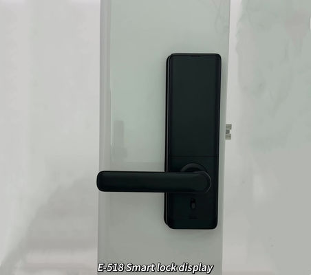 High Security Standard Electronic Electric Tuya App Smart Lock Digital Automatic Biometric Fingerprint Door Lock ForHome