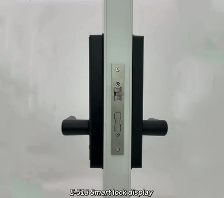 High Security Standard Electronic Electric Tuya App Smart Lock Digital Automatic Biometric Fingerprint Door Lock ForHome