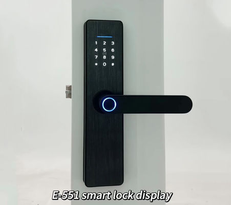 ELA E-551 Biometric Fingerprint Smart Lock Hotel Door Lock With Electric Feature For Smart Homes Or Offices