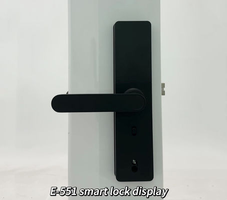 ELA E-551 Biometric Fingerprint Smart Lock Hotel Door Lock With Electric Feature For Smart Homes Or Offices