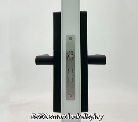 ELA E-551 Biometric Fingerprint Smart Lock Hotel Door Lock With Electric Feature For Smart Homes Or Offices