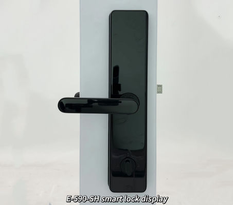 ELA Waterproof Outdoor Anti Theft Electronics Push Lock Smart Fingerprint Digital Safe Door Lock For Home Smart DoorLock