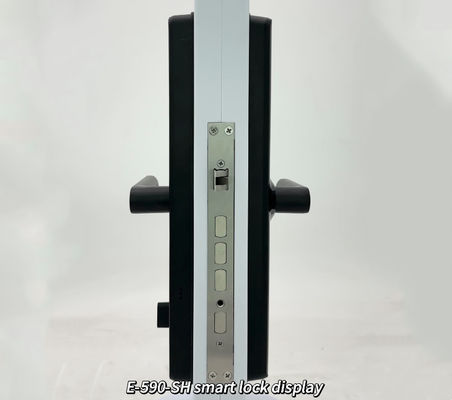 ELA Waterproof Outdoor Anti Theft Electronics Push Lock Smart Fingerprint Digital Safe Door Lock For Home Smart DoorLock