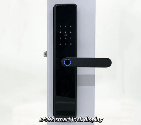 ELA Door LocksLuxury Style Electric Safety Handle Digital Tuya Ttlock Intelligent Wifi Fingerprint Door