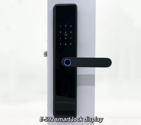 ELA Door LocksLuxury Style Electric Safety Handle Digital Tuya Ttlock Intelligent Wifi Fingerprint Door