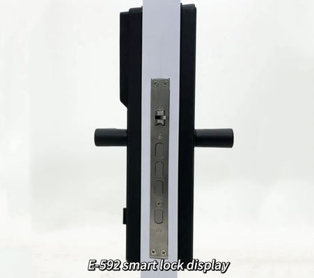ELA Door LocksLuxury Style Electric Safety Handle Digital Tuya Ttlock Intelligent Wifi Fingerprint Door