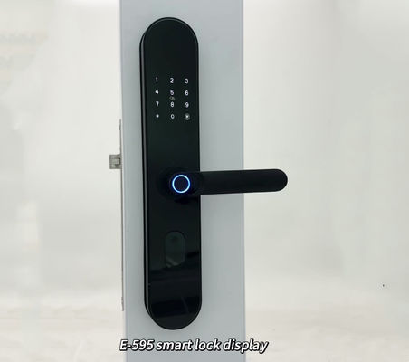 ELA E-595 High Quality TUya Wifi Digital Fingerprint Keyless Access Smart Home Handle Lock