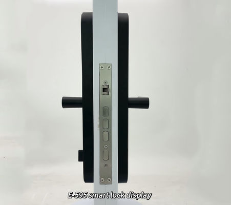 ELA E-595 High Quality TUya Wifi Digital Fingerprint Keyless Access Smart Home Handle Lock
