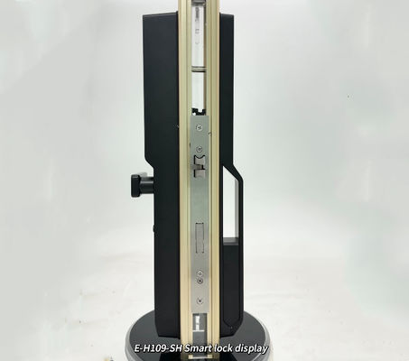 ELA New Automatic Waterproof Smart Door Lock 3D Face Recognition Fingerprint Smart Password Lock E-H109-SH