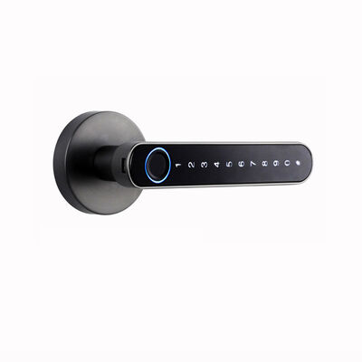 Doordikte 35-90 mm Smart Hotel Lock Multifunctionele RFID-kaart Toegangscontrolesysteem Ontworpen voor de beveiliging van hotelkamers
