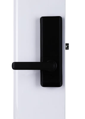 Doordikte 35-90 mm Smart Hotel Lock Multifunctionele RFID-kaart Toegangscontrolesysteem Ontworpen voor de beveiliging van hotelkamers