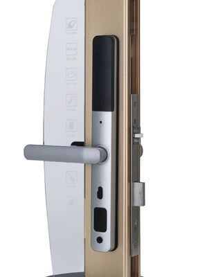 Doordikte 35-90 mm Smart Hotel Lock Multifunctionele RFID-kaart Toegangscontrolesysteem Ontworpen voor de beveiliging van hotelkamers
