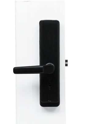 Doordikte 35-90 mm Smart Hotel Lock Multifunctionele RFID-kaart Toegangscontrolesysteem Ontworpen voor de beveiliging van hotelkamers