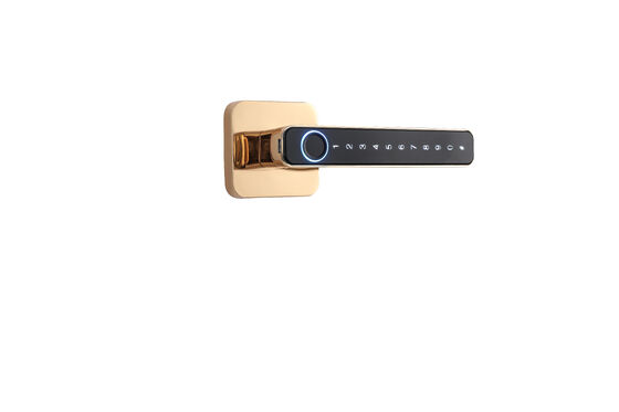 Doordikte 35-90 mm Smart Hotel Lock Multifunctionele RFID-kaart Toegangscontrolesysteem Ontworpen voor de beveiliging van hotelkamers