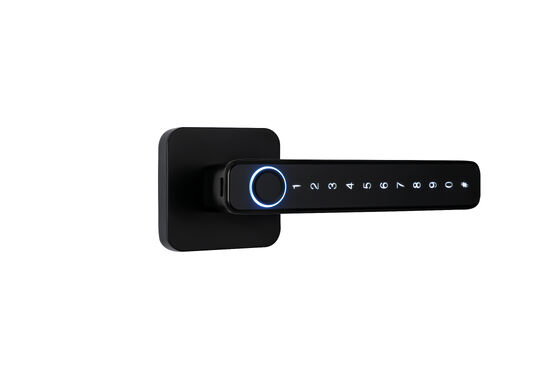 Doordikte 35-90 mm Smart Hotel Lock Multifunctionele RFID-kaart Toegangscontrolesysteem Ontworpen voor de beveiliging van hotelkamers