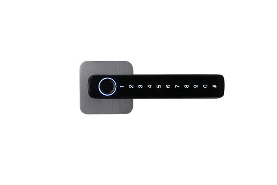 Doordikte 35-90 mm Smart Hotel Lock Multifunctionele RFID-kaart Toegangscontrolesysteem Ontworpen voor de beveiliging van hotelkamers