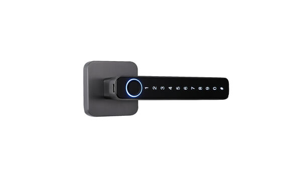 Doordikte 35-90 mm Smart Hotel Lock Multifunctionele RFID-kaart Toegangscontrolesysteem Ontworpen voor de beveiliging van hotelkamers