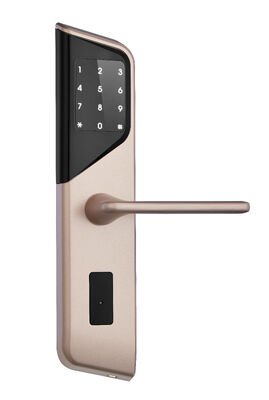 Motorized Deadbolt Electronic Door Lock Supporting Fidelio Opera and Others Optimized for Access Control in Residential Complexes