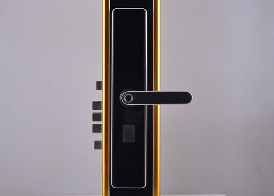 12 Months Batterylife Electronic Door Lock Compatible Standard Hotel Doors Durable Access Control System for Hospitality