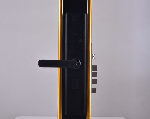 12 Months Batterylife Electronic Door Lock Compatible Standard Hotel Doors Durable Access Control System for Hospitality