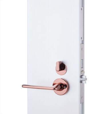 Electronic Door Lock Smart Hotel Lock Featuring 12 Months Battery Life and Mortise 70x95mm 62x95mm Suitable for Hotel Access Control