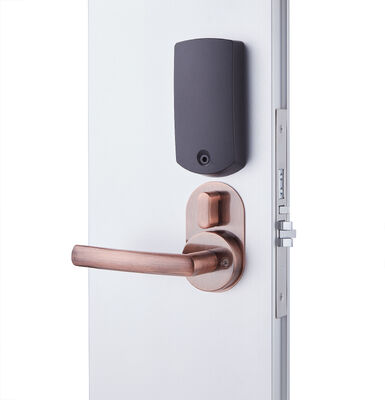 300mm X 70mm X 40mm Electronic Door Lock Featuring Network Wifi Integration Suitable for Commercial Security Solutions