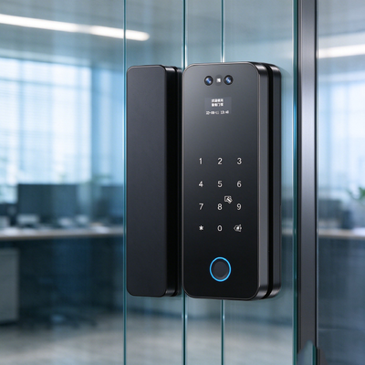 Smart Glass Door Lock Key 3d Face Unlocking Tuya App Control Fingerprint Recognition Card Access Passcode Entry