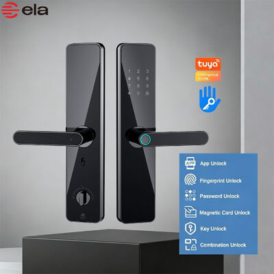 Factory Direct Supply Manufacturer Aluminum Alloy Smart Lock Fingerprint Password Tuya App Lock for Wooden Door 551