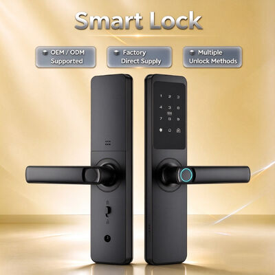 OEM and ODM SupportedAluminum Alloy Material Smart Digital Lock with 2 Years Warranty for Small Wooden Door