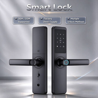 High Quality Multi-functional Aluminum Alloy Material Smart Digital Lock with 2 Years Warranty for Small Wooden Door